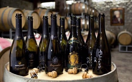 Mercato del vino: per Cristina Mercuri di Degustibuss è in corso una rivoluzione