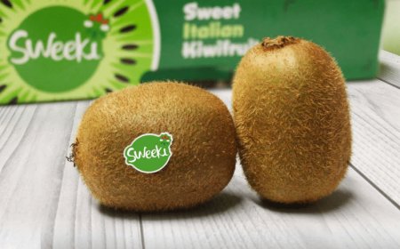 Origine Group: il kiwi italiano ha conquistato i mercati esteri