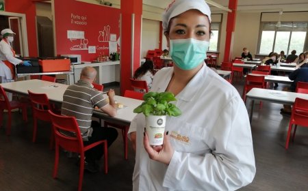 Da Agricooltur ed Euroristorazione 500 piantine di basilico per gli operatori sanitari piemontesi