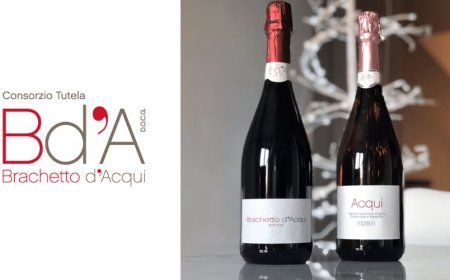 Alberto Canino è il nuovo vicepresidente del Consorzio Brachetto d'Acqui