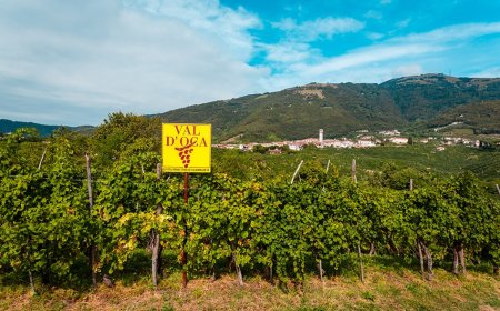 Da Val D'Oca uno stanziamento straordinario per la rete vendita Horeca