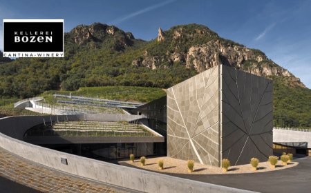 Cantina Bolzano: diversificazione dei canali di vendita e mercati per superare la crisi