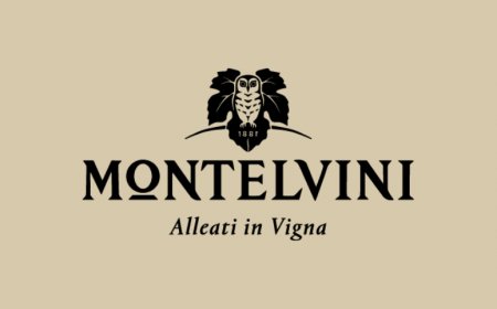 Alleati per la Ripartenza, il progetto di Montelvini a sostegno del canale Horeca