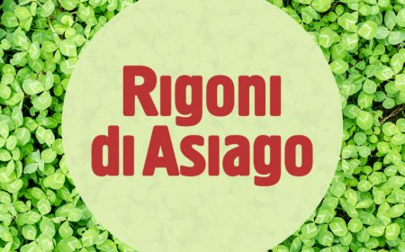 Giornata mondiale dell'ambiente: Rigoni di Asiago rinnova il suo impegno per la salvaguardia del pianeta