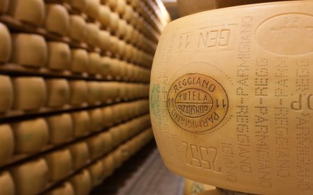 Con il crollo del 40% sul prezzo del Parmigiano, "Cia" chiede misure urgenti