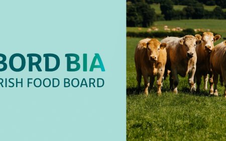 Bord Bia: ecco i segreti della carne di manzo irlandese