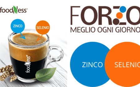 Forzo: la proposta funzionale di Foodness per il canale bar