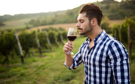 Turismo del vino: un'estate all'insegna del turismo lento e sostenibile