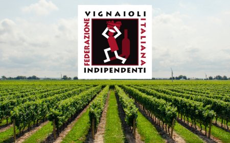 FIVI invita il Governo a vigilare sui possibili dazi USA contro il vino italiano