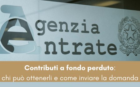 Contributi a fondo perduto: chi può ottenerli e come inviare la domanda