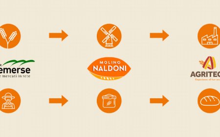 Vandemoortele sostiene la filiera italiana con il marchio Agritech: al via il progetto Origrani