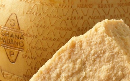 Grana Padano registra una crescita di produzione ed export nel 2019