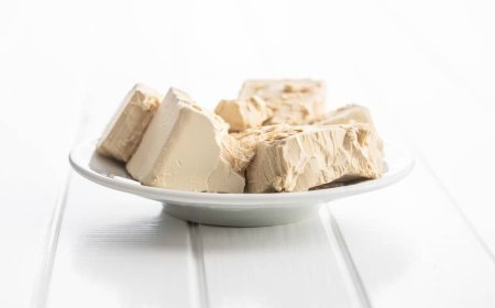 Il Gruppo Lievito da zuccheri di ASSITOL ha accolto il nuovo presidente Paolo Grechi