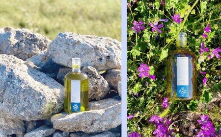 Tenute Allegretti: l'olio pregiato eccellenza della Puglia