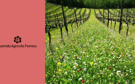 Doppio riconoscimento per i vini di Fiorano all’Internationaler Bioweinpreis