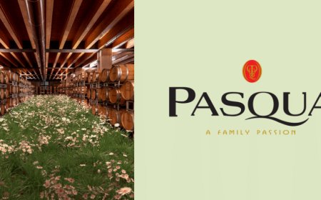 Pasqua Vini collabora con l'artista Timo Helgert per un omaggio a Verona e alla Valpolicella