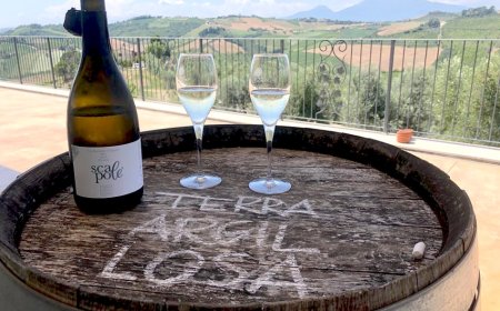 La cantina Terra Argillosa brinda alla riapertura con il nuovo spumante Scapolé