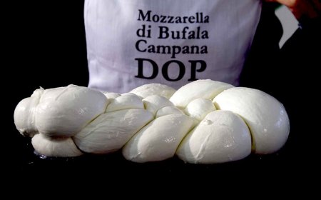 Mozzarella di Bufala Dop: nuova campagna di comunicazione firmata da Casa Surace