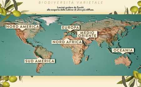 Oleificio Zucchi: una nuova sezione del sito racconta le cultivar di ulivo