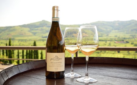 Gianni Tessari presenta Scalette: il Soave Classico Doc che esalta la tradizione