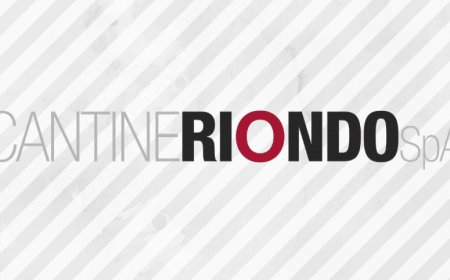 Cantine Riondo: risultati record per il 2019