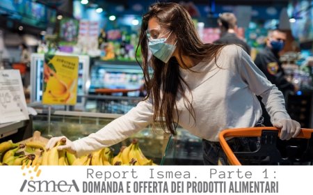 Report Ismea. Parte 1: domanda e offerta dei prodotti alimentari