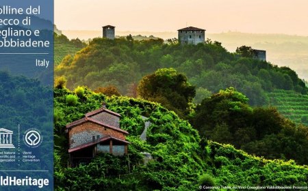 Sito Unesco Colline del Prosecco: i piani per il futuro