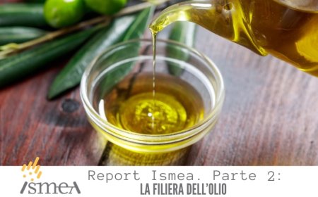 Report Ismea. Parte 2: la filiera dell'olio