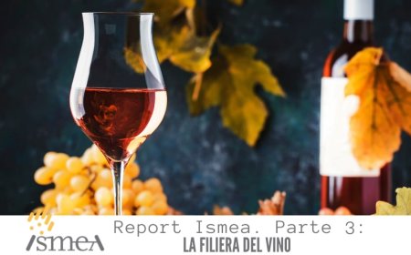Report Ismea. Parte 3. La filiera del vino