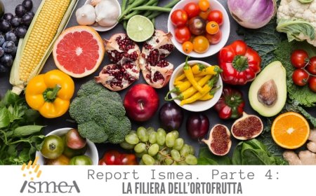 Report Ismea. Parte 4: la filiera dell'ortofrutta