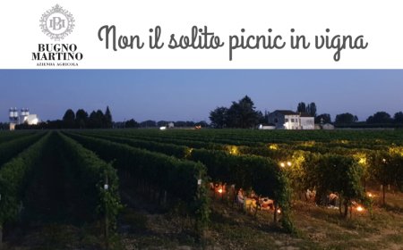Picnic, cene e yoga nelle vigne di Bugno Martino