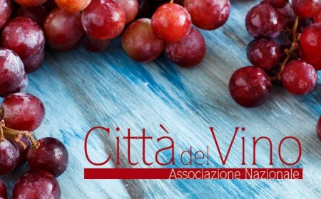 Dal 2021 ogni anno ci sarà una Capitale Italiana del Vino