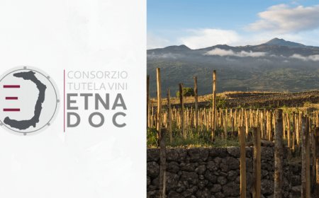 Consorzio di Tutela Vini Etna Doc. Riduzione delle rese e stop a nuovi impianti