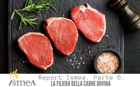 Report Ismea. Parte 6. La filiera della carne bovina