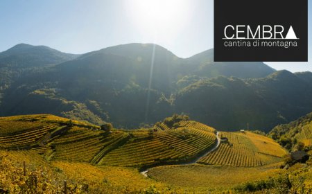 Cembra Cantina di Montagna: vini che nascono nel ventre delle vette trentine