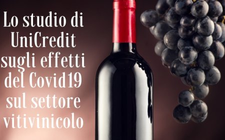 Lo studio UniCredit sugli effetti del Covid19 sul settore vitivinicolo italiano
