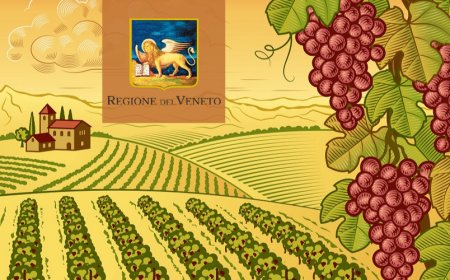 Viticoltura: bando Regione Veneto di 11 milioni per riconversione e ristrutturazione vigneti
