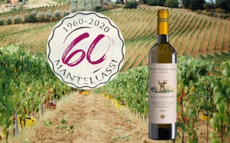 Scalandrino 2019 di Fattoria Mantellassi nella top 10 del Vermentino Grand Prix