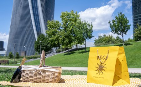 Arriva il Picnic firmato Peck per vivere il gusto nella natura del parco di CityLife