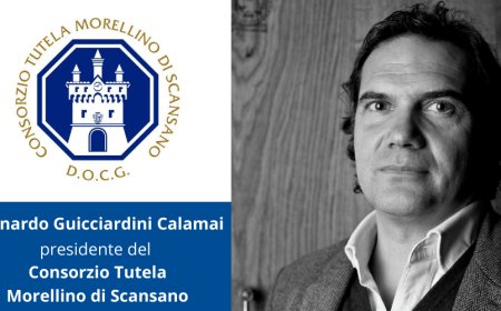 Consorzio Morellino di Scansano: Bernardo Guicciardini Calamai è il nuovo Presidente