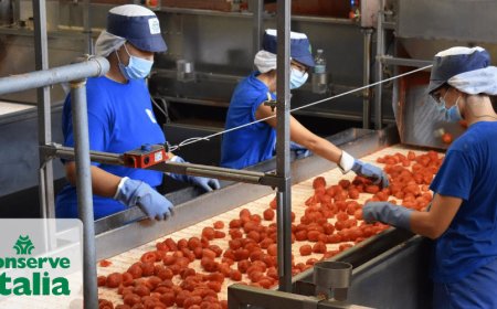 Pomodoro italiano: al via la campagna di Conserve Italia