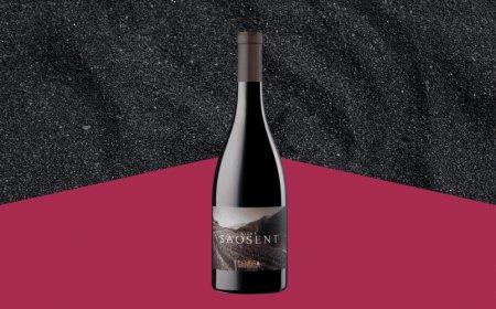 Il Pinot Nero Vigna Saosent di Cembra Cantina di Montagna