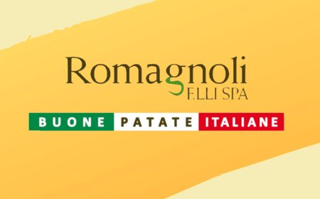 Crescita record per Romagnoli Spa: fatturato 2019 a +33,5%