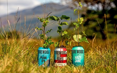 Il birrificio artigianale scozzese BrewDog è ora Carbon Zero
