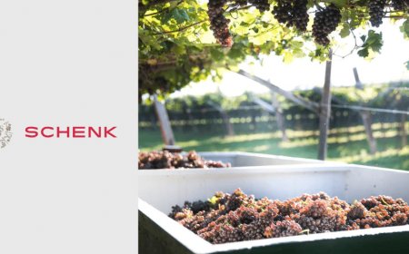 Vendemmia 2020. Schenk Italian Wineries: ottima annata da Nord a Sud