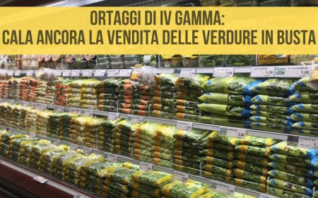 Ortaggi di IV gamma: cala ancora la vendita delle verdure in busta