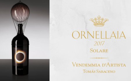All'asta i preziosi lotti dedicati a Ornellaia 2017 Solare