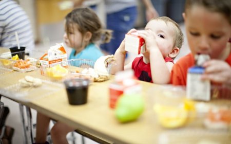 Mense scolastiche: a Modena le prime novità per l'autunno