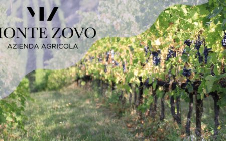 Per la vendemmia 2020 Monte Zovo punta sulla valorizzazione del "terroir"
