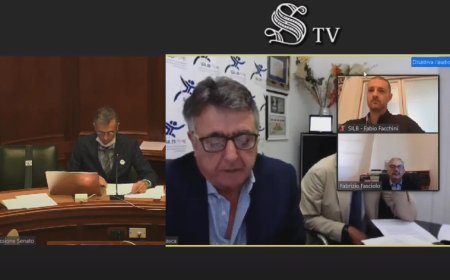 SILB-FIPE in audizione al Senato per chiedere aiuti concreti al Governo